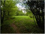 Planina (Dolnja Planina) - Grmada (Planinska gora)